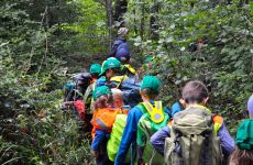 Impression 5 - naturspielwald