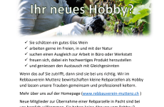 Impression 1 - Rebbauverein Muttenz