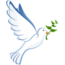 Logo - Verein Friedenskurs