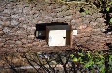 Impression 0 - Ornithologischer Verein Diessenhofen und Umgebung