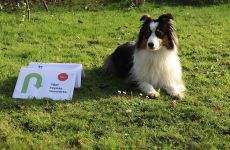 Impression 2 - Kynologischer Verein Eulachtal/Elgg