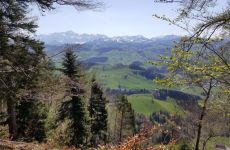 Impression 0 - Naturfreunde Frauenfeld