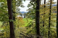 Impression 1 - Naturfreunde Frauenfeld