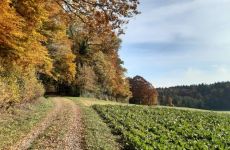 Impression 3 - Naturfreunde Frauenfeld