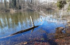 Impression 4 - Naturfreunde Frauenfeld