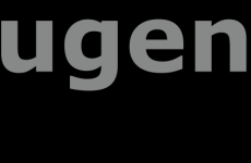 Impression 0 - Landjugendgruppe Seerücken