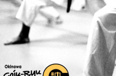 Impression 1 - Okinawa GOJU-RYU Karate