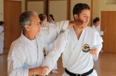 Impression 4 - Okinawa GOJU-RYU Karate