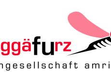 Impression 0 - mufu Narrengesellschaft Muggäfurz