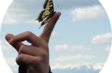 Impression 0 - Naturschutzverein Hinwil