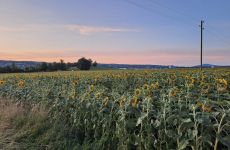 Impression 0 - Standortförderung Zürcher Weinland