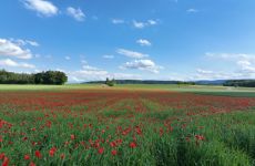 Impression 3 - Standortförderung Zürcher Weinland