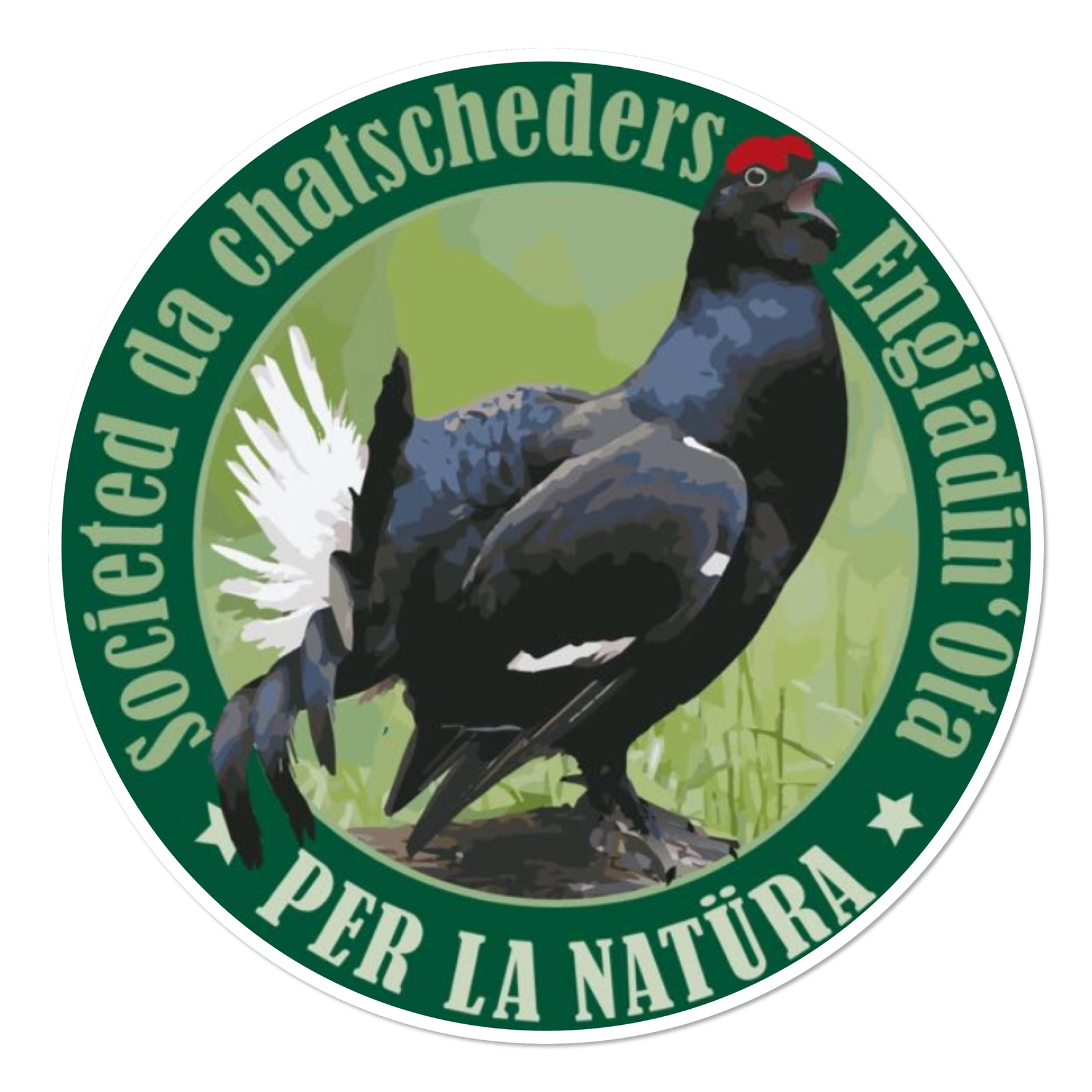 Andrea Vondrasek - Societed da chatscheders